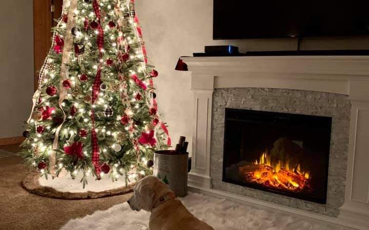 The 2020 Christmas Season